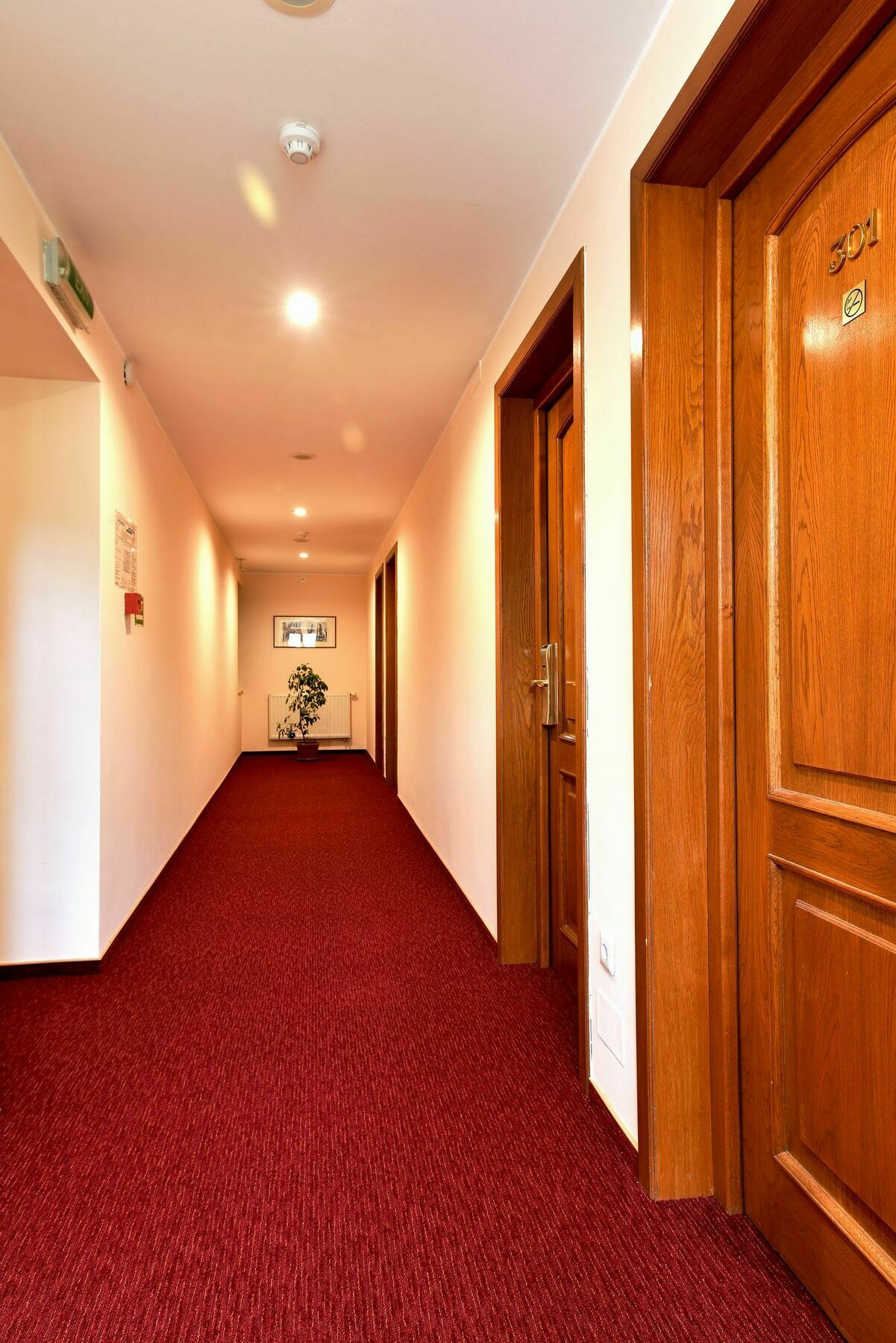 Hotel Braszów Zewnętrze zdjęcie
